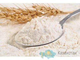 МУКА В/С/ 1С/ 2С/ 3С/ ИЗ БЕЛОЙ/ЖЕЛТОЙ КУКУРУЗЫ ЭКСПОРТ Алматы и Алматинская область