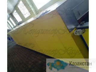 Тоннельная электрическая печь 600 мм Актобе