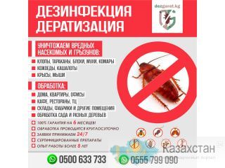 ДЕЗИНФЕКЦИЯ ДЕРАТИЗАЦИЯ Другое месторасположение