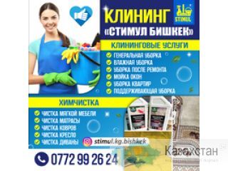 Клининг "Стимул Бишкек" Другое месторасположение