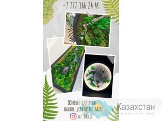 Живые картины, панно, декор из мха в Алматы. Алматы