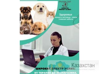ProVet Clinic в Алматы: Все для здоровья вашего питомца! Алматы