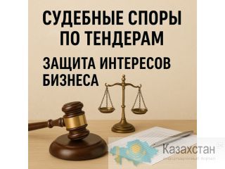 Юрист по тендерам и судебным спорам — защита интересов бизнеса. Алматы
