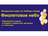 Логотип Мастерская аэродизайна "Фиолетовое небо"