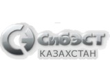 Логотип ТОО СИБЭСТ Казахстан