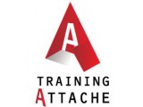 Логотип Training Attache, тренинговый центр