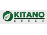 Логотип Компания KITANO SEEDS