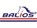 Логотип Товарищество с ограниченной ответственностью "Balios"
