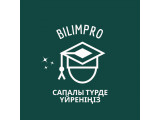 Логотип Bilim.pro