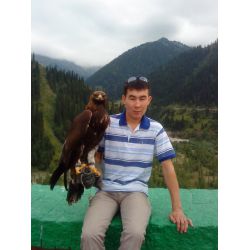 Кизбаев Арсен Бакытович томоженное-дело,