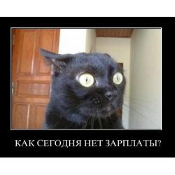 Касымов Берик Калыбекович менеджер консультант по кредитованию
